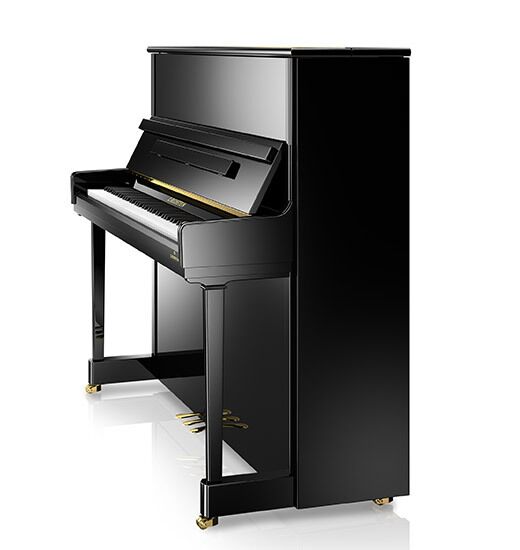 C. Bechstein R6 Residence “Classic / Style / Elegance” Upright Piano - Image 5