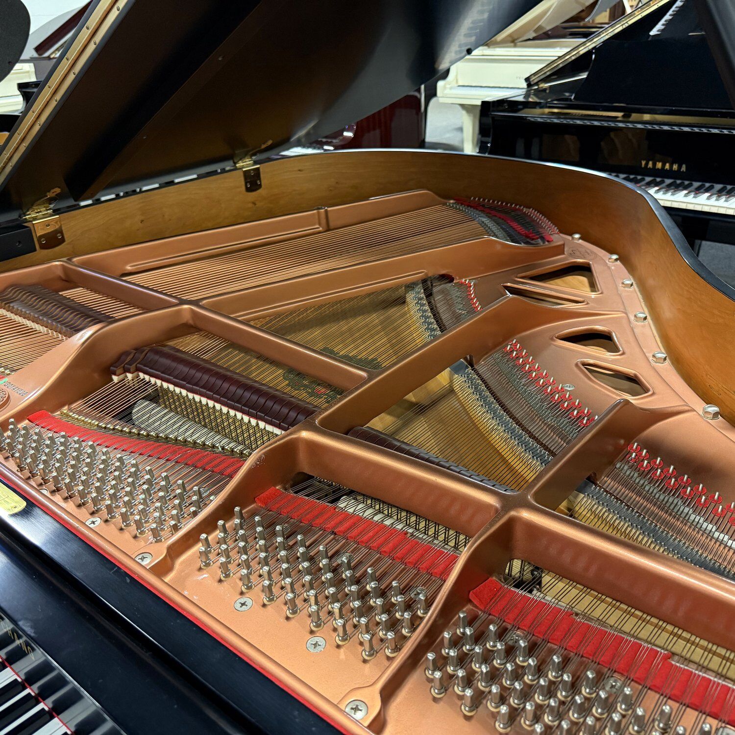Used Young Chang G157 Grand in Ebony Polish