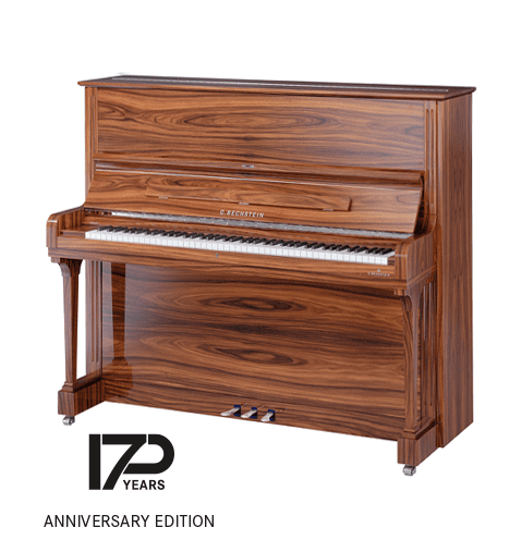 C. Bechstein Concert 6 Upright Piano - Image 10