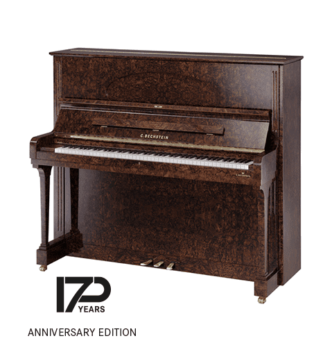 C. Bechstein Concert 6 Upright Piano - Image 7